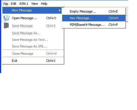 an image of how to reach the hex message option from the file tab